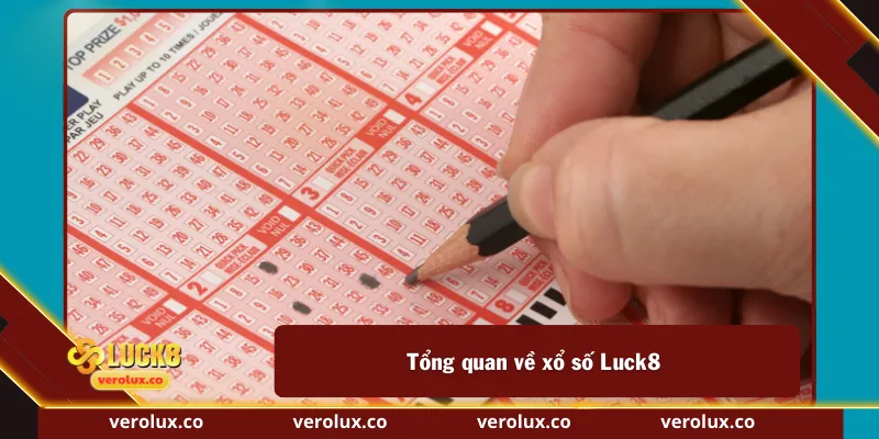 Tổng quan về xổ số Luck8